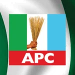 Highly provocative, Fani-Kayode rebuts cleric’s comment on Muslim-Muslim ticket